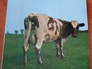PINK FLOYD Atom heart mother 1971 FRENCH LP HARVEST SHVL781 Gatefold Sleeve