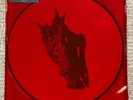 ALICE IN CHAINS - THE DEVIL PUT DINOSAURS HERE 2013 PICTURE DISC Official *RARE*