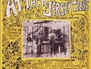 ATTACK OF THE JERSEY TEENS, 60's garage punk LP, , mint condition