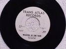 THE KACT TIES Walking in the Rain TRANS ATLAS 695 M-