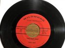 LAST EXIT 45 The Fast One 1967 Ohio Garage Punk on WILDWOOD