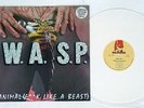 W.A.S.P. Animal Music For Nations 12-KUT-109 French WHITE VINYL. VINYL 12