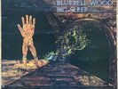 Bluebell Wood, by Big Sleep UK 1971 Pegasus