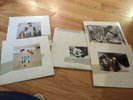 Fleetwood Mac ?– Tusk - Vinyl Record Lp   & BARE TREES & HEROS ARE HARD TO FIND