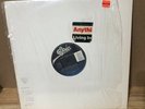 1990 ANYTHING BOX “Living In Oblivion” LP 12” Single Epic