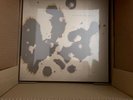 Peter Murphy 6 Albums COLORED Vinyl 7xLP Box Set x/500 Limited Edition Color LP