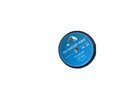 elvis presley records, Blue Suede Shoes, Hound Dog, Blue Moon