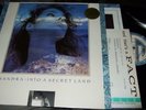 SANDRA : INTO A SECRET LAND LP 1988 VIRGIN GERMANY +PROMOSHEET   +HYPERSTICKER