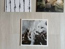 Vinyl Casper XoXo, Hinterland, Lang Lebe der Tod Erstpressungen