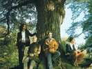 THE PEOPLE TREE [2/22] NEW VINYL