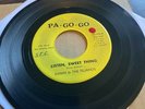 Danny & The Tejanos RARE CHICANO SWEET SOUL 45