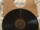 Brunswick 78 Rpm #4418 - Nick Lucas - Tip Toe Through The Tulips / Painting the