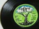 FEEL LIKE MAKING LOVE   ELIZABETH ARCHER 1977 UK 7