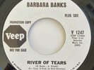 Barbara Banks River Of Tears Living In The Past RARE PROMO Northern Soul 45 WLP