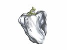 Ween - White Pepper 180G LP REISSUE NEW PLAIN RECORDINGS
