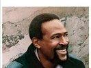 MARVIN GAYE - DREAM OF A LIFETIME -CLRD- NEW VINYL