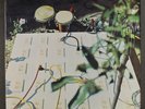 BEAT OF THE EARTH: the beat of the earth RADISH 12