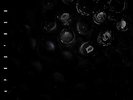 Crumb-Ice Melt VINYL NEUF