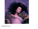 Kate Bush ?– Hounds Of Love 180g VINYL LP NEW & SEALED