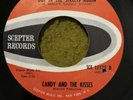 CANDY AND THE KISSES - OUT IN THE STREETS AGAIN -45 SCEPTER NORTHERN SOUL
