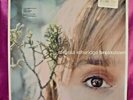 SEALED MELISSA ETHERIDGE - BREAKDOWN - LP ALBUM & 7” 1999