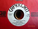 JOHNNY JENKINS I Walk on Guilded Splinters/mono 45 CAPRICORN 8000 soul r&b