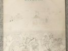 Robert Wyatt Rock Bottom LP Vinyl