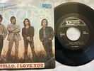 45 DOORS - HELLO I LOVE YOU - ANNO 1969 - VRN 34087