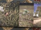 The Dear Hunter Act I, II, III reissue BUNDLE