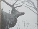 Agalloch – The Mantle 2x LP Clear (Grau)- Alcest- Wolves in the Throne Room- Fen