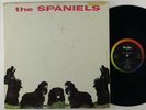 Spaniels 