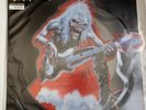 Iron Maiden Fear Of The Dark Live Limited Edition Picture Disc NEW