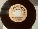 Northern Soul- The Younghearts- A Little Togetherness-1967 U.S Canterbury