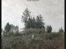 JURADO , DAMIEN - SAINT BARTLETT NEW VINYL RECORD