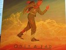 OINGO BOINGO - ONLY A LAD -  COVER VERY GOOD,  VINYL MINT