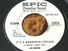 Jim Robinson - It's a Wonderful.../A Whole... 45 rockabilly w/Buddy Holly HEAR