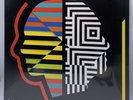 OMD ORCHESTRAL MANOEUVRES IN THE DARK THE PUNISHMENT OF LUXURY VINYL LP 100LP66