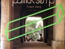 Truant Wave Vinyl Record by Patrick Stump (2011) | Translucent Green, Rock/Soul
