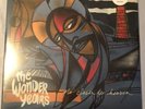 the wonder years vinyl