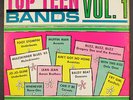 VARIOUS: top teen bands, vol. 1 BUD-JET 12
