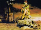 Toyah The Changeling vinyl LP ID1499z
