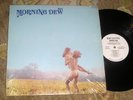 1970 Hard Rock Folk Psych LP - THE MORNING DEW - Roulette  WHITE PROMO Shrink