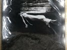 Bill Evans, Jim Hall, Undercurrent (MoFi MFSL Vinyl LP) #8146 SEALED, Seam Split