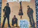 SUICIDAL TENDENCIES Still Cyco After All These Years LP 1993 ORIGINAL NEAR MINT