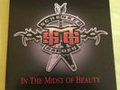 MSG - ''IN THE MIDST OF BEAUTY'' - RARE LIM. 333  NOTVD BI-COL.LP 2014