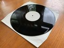 MODEST MOUSE “Night on the Sun