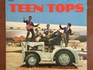 Los Teen Tops [1975] Vinyl LP Rock & Roll CBS Records La Plaga - Tutti Frutti