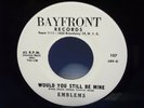 The Emblems,Bayfront 107,