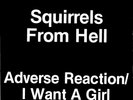 SQUIRRELS FROM HELL - POWER POP 7