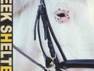 ICEAGE - Seek Shelter - Vinyl (LP + MP3 download code)